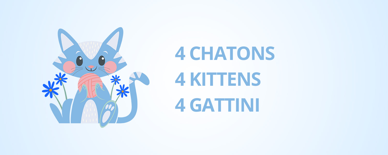 Naissances 4 chatons 09 Juin 2025