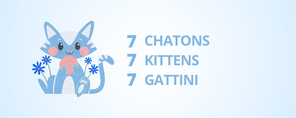 Naissances 7 chatons 4 Janvier 2025